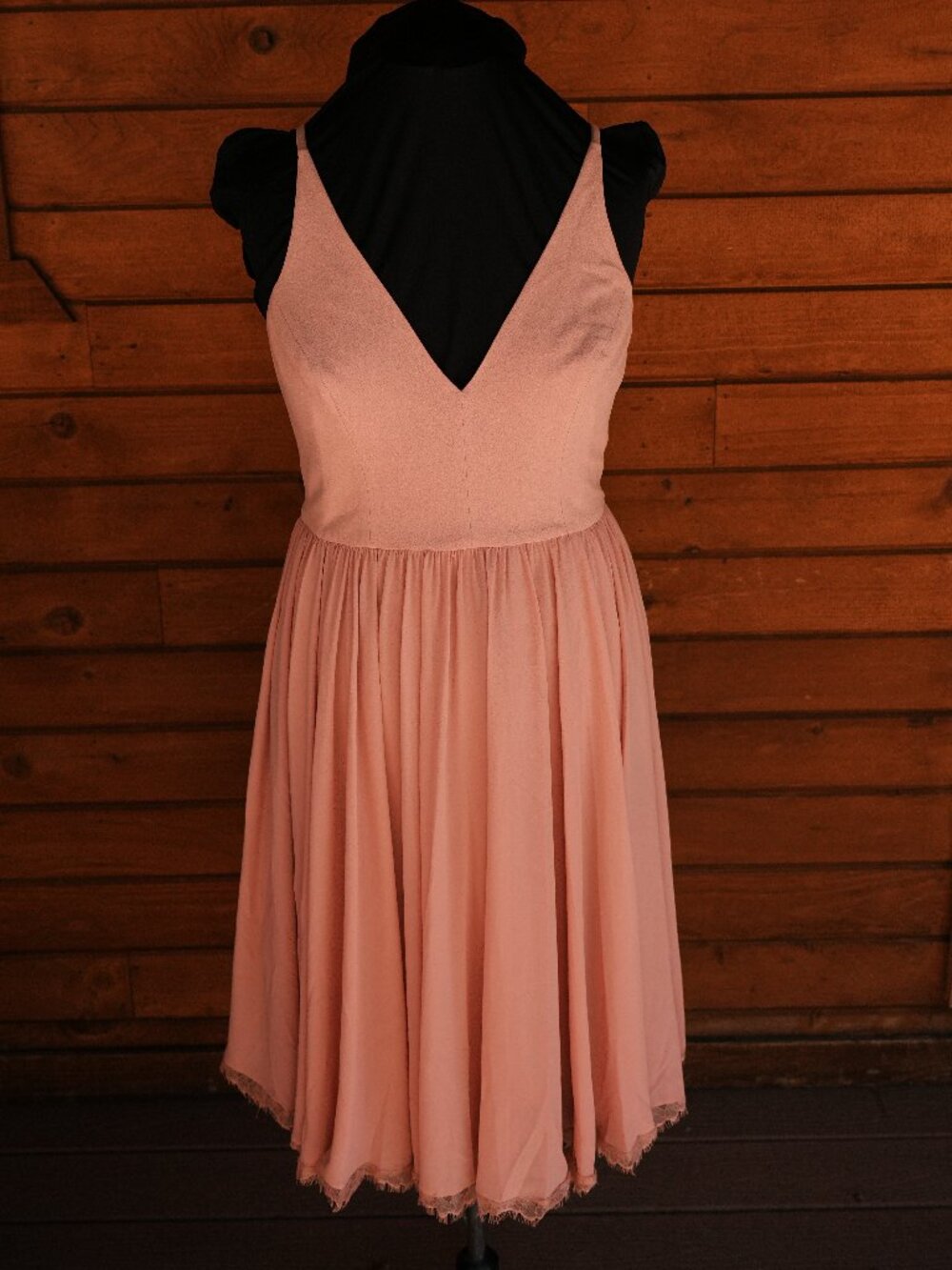 Dress the Population Alicia Dress in Blush! XL